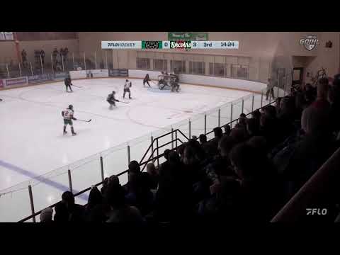 Dylan Searles 24/25 GOJHL St Thomas Stars #13/St Marys Lincolns #94 Highlights