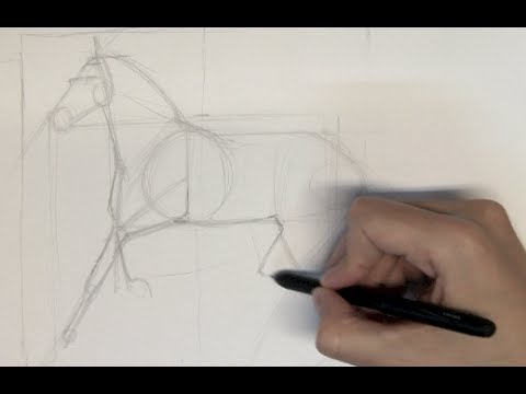how to draw step by step a horse