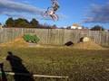 bmx jumps and motocross action