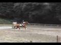 Horseback Riding comp. 8-5-07