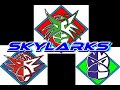 follow stryker, spar and soar ,
as they try to thwart the evil dr. kestrel's diabolical plot to rid the world of everyone so that he can have all the free movies and popcorn for himself!
will the skylarks get there in time!
http://skylarksproductions.com/