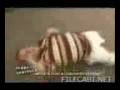 videos de Midget Fight Jerry Springer