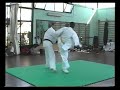 Luca Petrini  (Yellow) VS Sensei G. Magini - KUMITE KO
