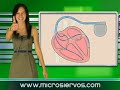 Telurica TV 305 - Bloggers y periodistas, Warhol y Stomp