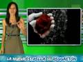 Telurica TV 305 - Bloggers y periodistas, Warhol y Stomp