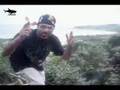 Sandrão Tubarão.Surf