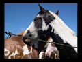 RIDE A PAINTED PONY, a novel RIDE A PAINTED PONY, a novel