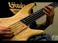 THE CHICKEN - FRETLESS BASS SOLO