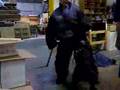 Boyero de Flandes video