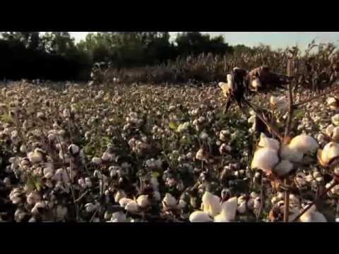 College Conspiracy Documentary College Conspiracy Documentary