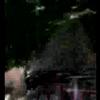 downhill in puyo
