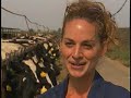 UC Davis Newswatch: Vet Students at Dairy