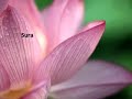 Great Compassion Mantra