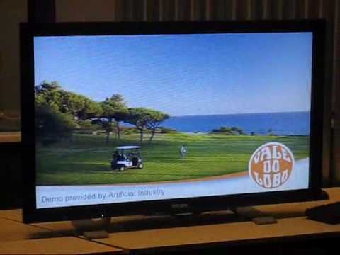Philips 3DTV demonstration
