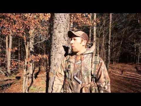 how to locate turkeys