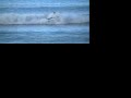 A Short Surfing Flick A Short Surfing Flick