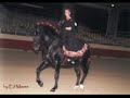 DreamWeaver Andalusians Ranch Info DreamWeaver Andalusians Ranch Info