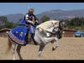 DreamWeaver Andalusians Ranch Info