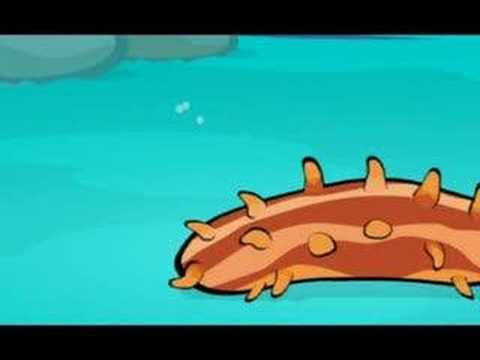 Sea Cucumber - Episode 1