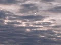 F-22 Unrestricted Climb