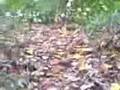 dirtbike-track