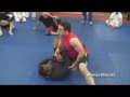Gene Simco Jiu-jitsu Technique - Choke from Knee on Belly