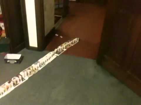 mexican train dominoes mexican train dominoes