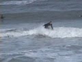 NSB contest and freesurf