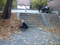 värdens roligaste bail