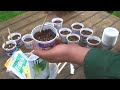 Seed Starting with The Podchef Seed Starting with The Podchef