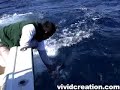 Cabo San Lucas Fishing December 2006