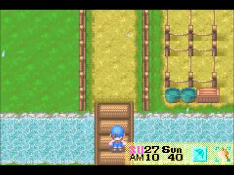 how to expand house in harvest moon ds