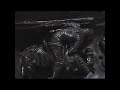 The Lincoln Cathedral Code pt4 The Lincoln Cathedral Code pt4