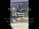 Horses our best friends