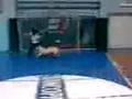 videos de el perro y mariano