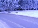 Jeep M38 in winter