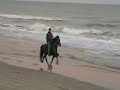 Rocket Single-Footing On the Beach