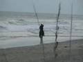 Rocket Single-Footing On the Beach