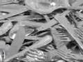 Frucosol cutlery polisher SH-7000