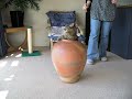 Fat cat stuck in a pot