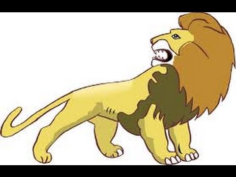 LION LION