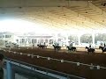 Ellenwood Equestrian Center - Bitless Demonstration