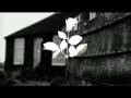 Data - Sister of night