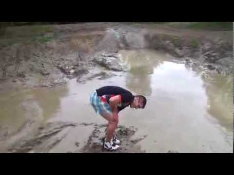 how to search vehicle registration number