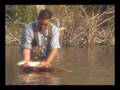 The Riverkeeper Fly Shop