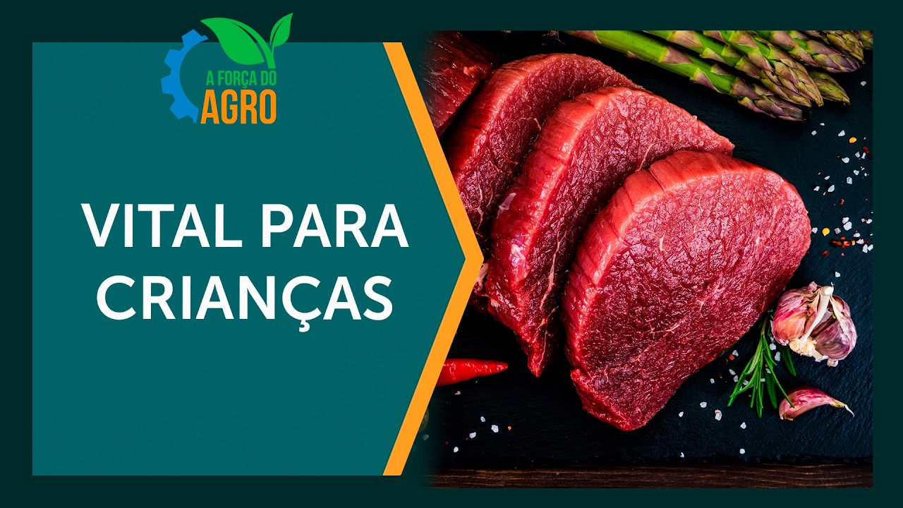 O impacto da carne bovina no desenvolvimento das crianças