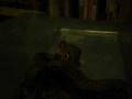 videos de retic6