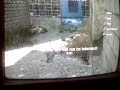Call Of Duty 4 Playstation 3 Online - Annoying Online  Noob That Wouldnt Shut Up Part 2