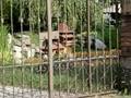 Castello allo Stagno