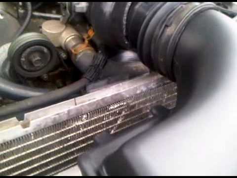 how to fix a radiator leak with black pepper